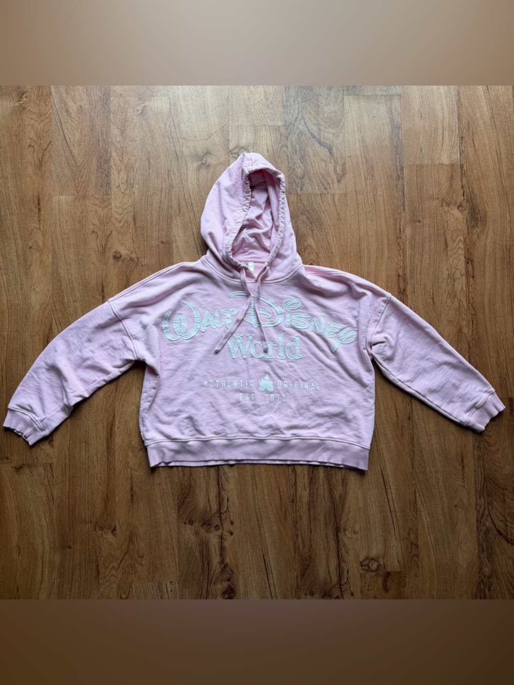 Walt Disney World Pink Cropped Hoodie Women’s Large